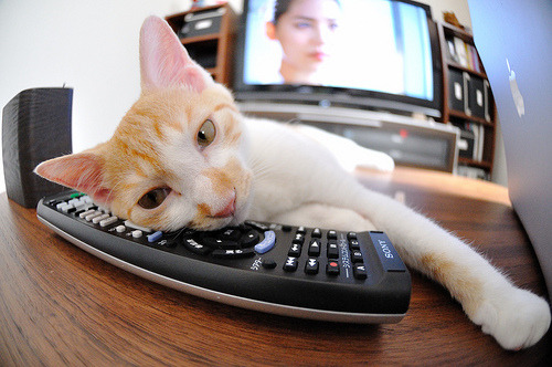 特奥一锤定音，国际米兰力克曼联夺欧冠关键胜利