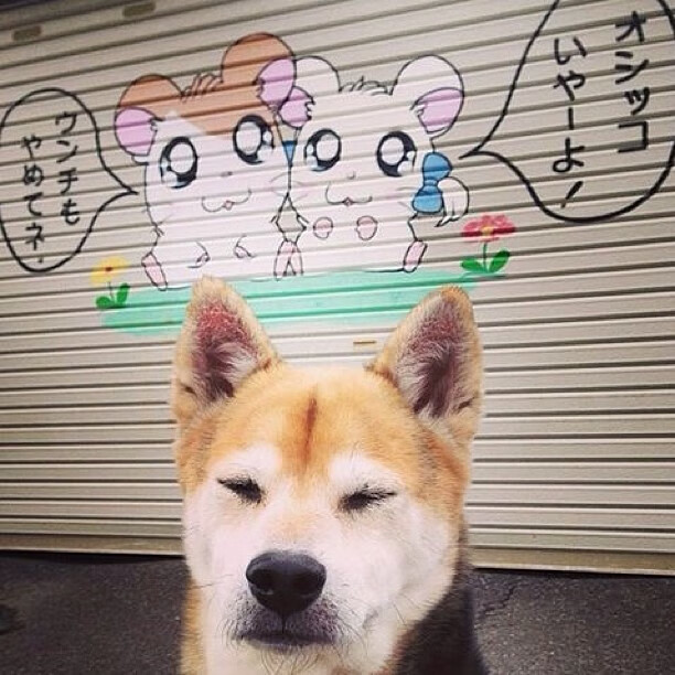 数字废墟中，恩比德如何用巨掌扼住奇才最后的叹息？