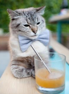 开云APP-疾速协奏曲，当F1街道赛的涡轮轰鸣遇见厄德高的致命弧线