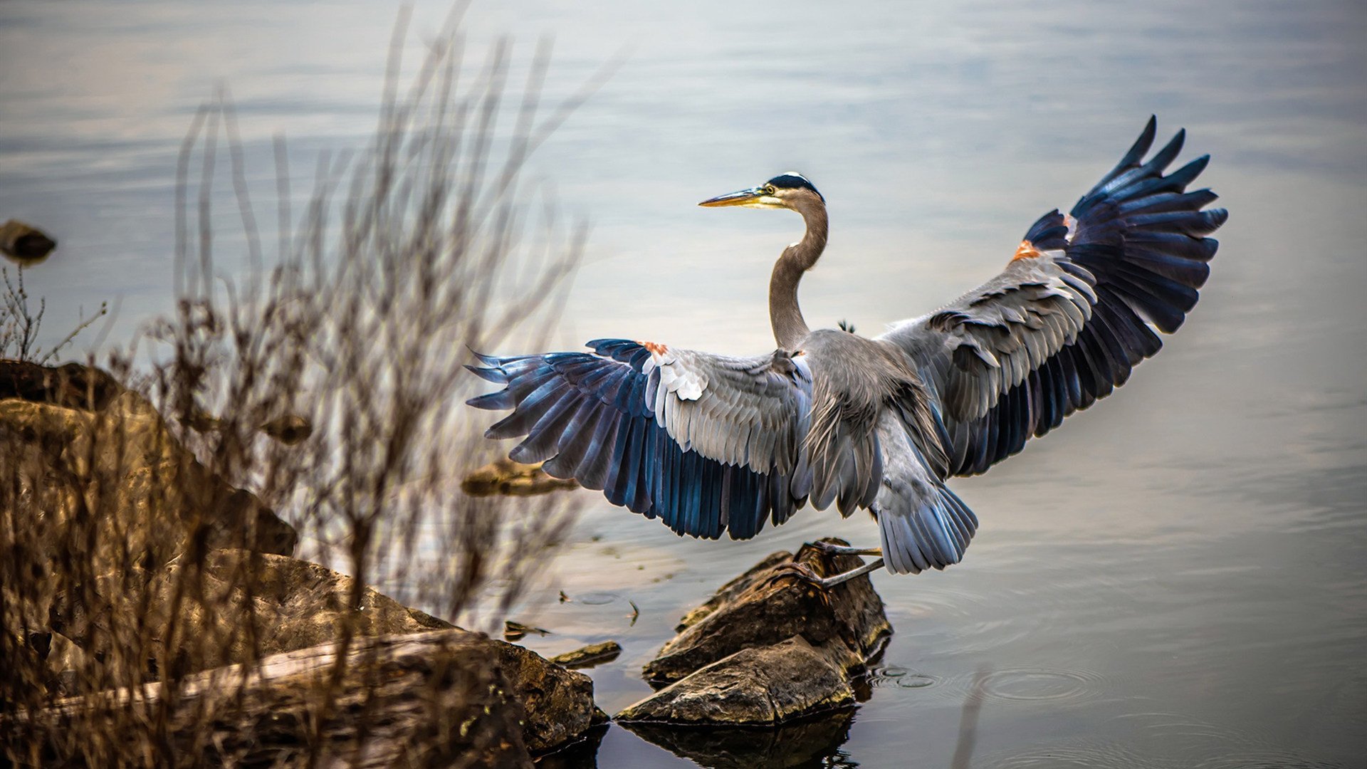 开云体育-佩德里光芒四射，伊拉克爆冷惊艳—足球世界中的个人与集体传奇