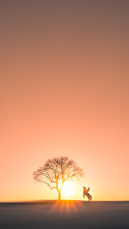 双星闪耀夜,克瓦拉茨赫利亚魔力绽放,塞内加尔力克澳大利亚