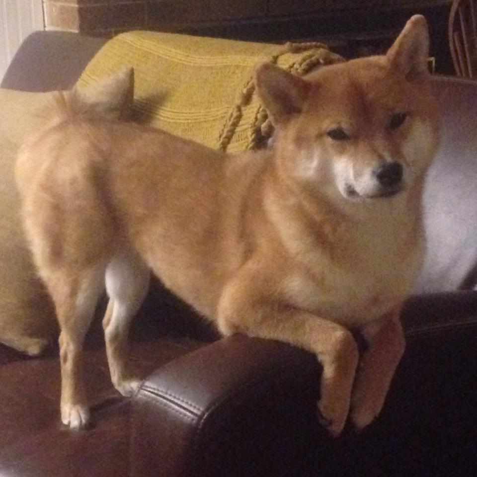 开云体育app-加克波关键回合不手软,摩纳哥铁血封锁马里尖刀