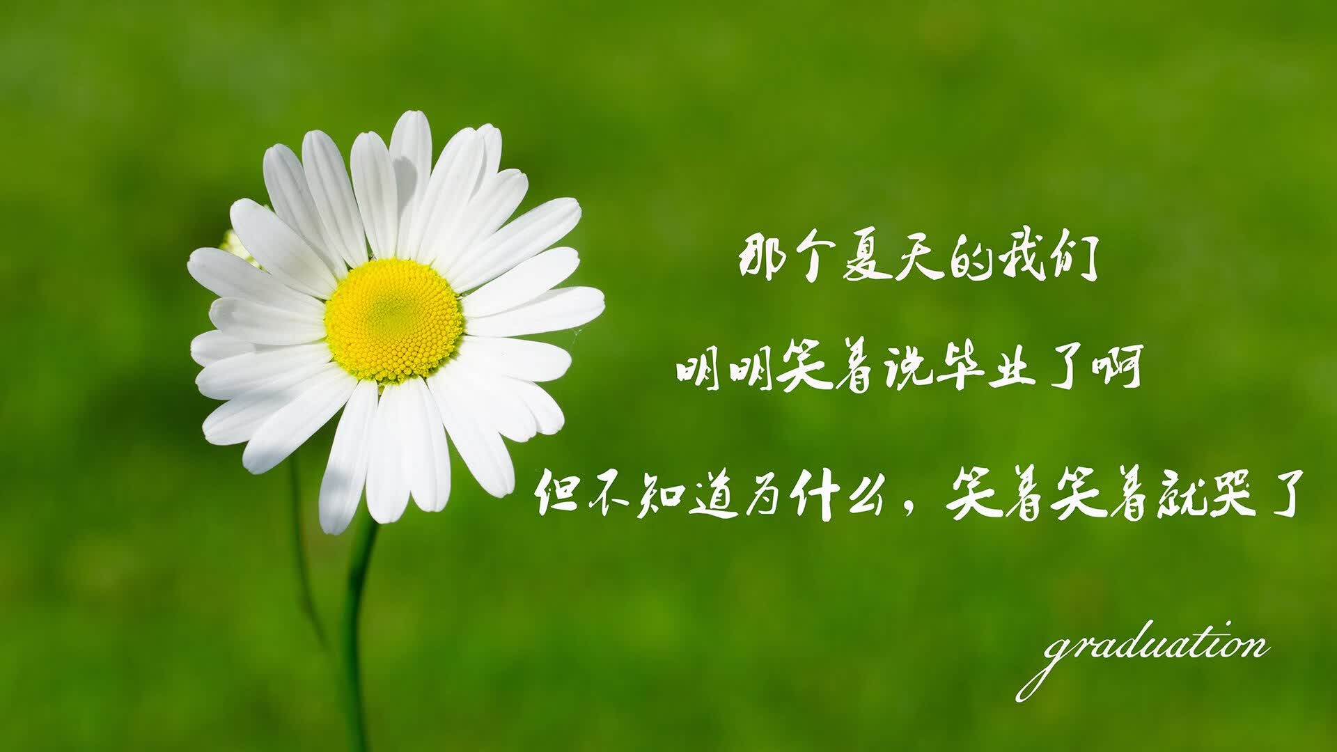 中场定乾坤,维尼修斯闪耀—比利时力克突尼斯,G组格局初现
